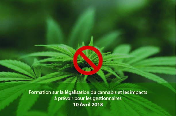 You are currently viewing Participez à la formation sur la légalisation du cannabis et les impacts à prévoir pour les gestionnaires!